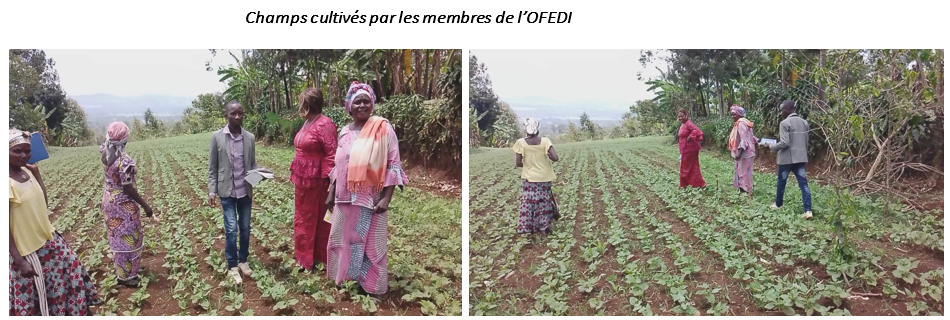 MARCHE DE SENSIBILISATION DES JEUNES MAMANS